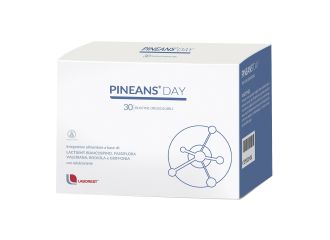Pineans day 30 bustine orosolubili da 1800 mg