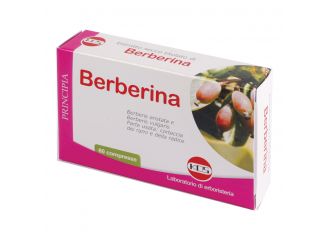 Berberina estratto secco 60 compresse