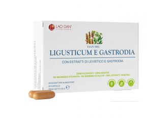 Ligusticum e gastrodia 60 capsule