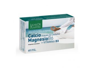 Calcio + magnesio b6 + vitamina d3 60 capsule