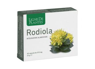 Rodiola 45 capsule