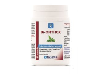 Bi-orthox 60 capsule