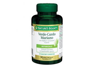 Verde cardo mariano 60 perle