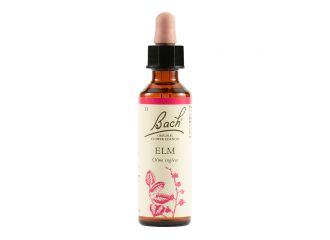 Elm bach orig 20 ml