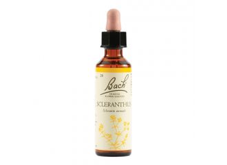 Sclerantus bach orig 20 ml