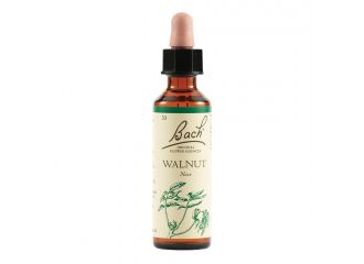 Walnut bach orig 20 ml