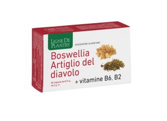 Boswellia artiglio diavolo vitamine b2 b6 b9 60 capsule