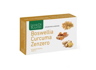 Boswellia curcuma zenzero 60 capsule