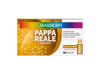 Massigen pappa reale 10 flaconi da 25 ml