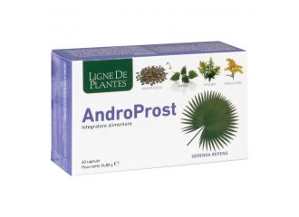 Androprost 60 capsule