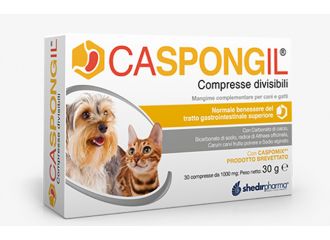 Caspongil 30 compresse divisibili