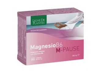 Magnesio b6 m-pause 60 capsule