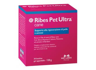 Ribes pet ultra cane gel 30 bustine 4 g