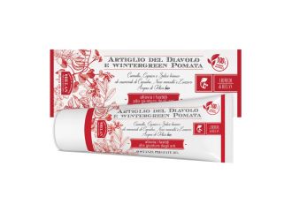 I rimedi di helan artiglio diavolo wintergreen pomata 75 ml