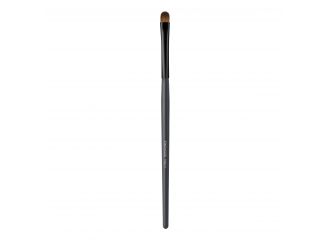 Euphidra pennello occhi linee