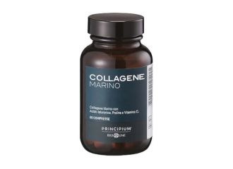 Principium collagene marino 80 compresse bistrato