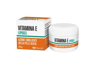 Vitamina & lipogel 20 g