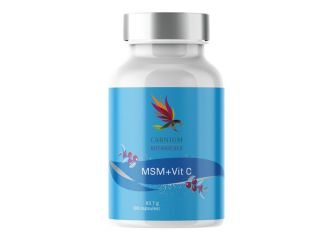 Carnium bot msm+vit c 90 capsule