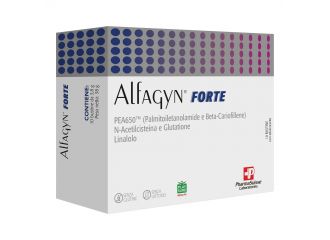Alfagyn forte 10 bustine