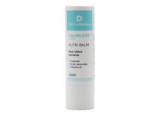 Dermovitamina calmilene nutri balm new 4,5 g