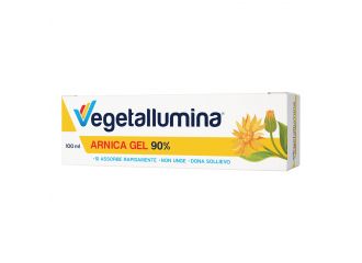 Vegetallumina arnica gel 90% 100 ml