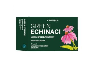 Green echinaci 36 capsule