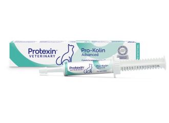 Prokolin advanced car pasta 15 ml