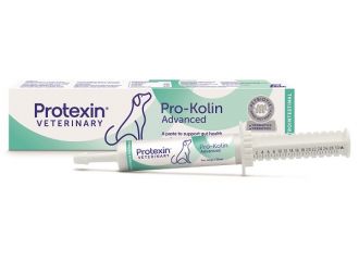 Prokolin advanced dog pasta 30 ml