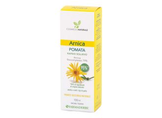 Arnica pomata 100 ml