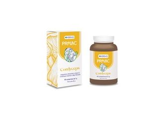 Prolac cordyceps 90 compresse