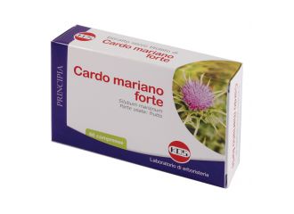 Cardo mariano forte 60 compresse