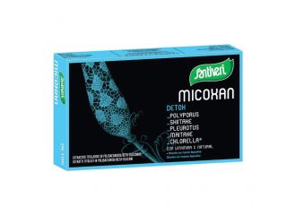 Micosan detox 40 capsule 18 g