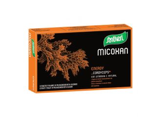 Micosan energy 40 capsule 19 g