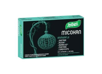 Micosan immunflu 40 capsule