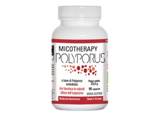 Micotherapy polyporus 90 capsule