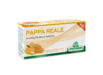 Pappa reale plus 12 flaconcini x 10 ml