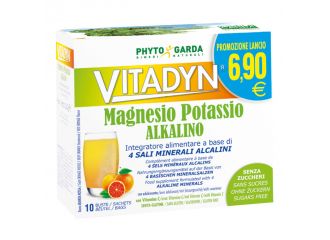 Vitadyn magnesio potassio alkalino senza zucchero 10 bustine