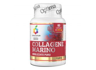 Colours of life collagene marino idrolizzato puro 60 capsule 575 mg