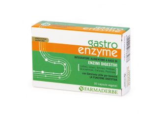 Gastro enzyme 30 capsule