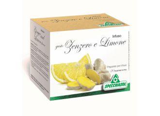 Infuso tisana zenzero + limone 20 filtri