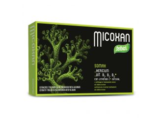 Micosan somax 40 capsule