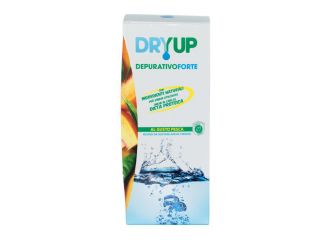 Dryup depurativo forte 300 ml