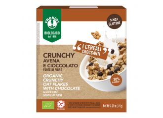Easy to go bio crunchy avena e cioccolato 375 g