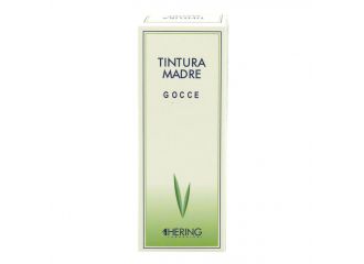 Hiperycum perforatum tintura madre 1l