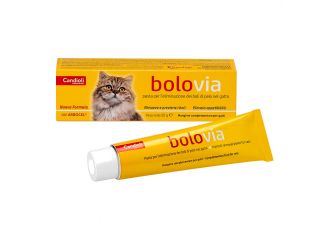 Bolo via pasta gatti tubo 50 g