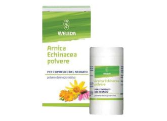 Arnica echinacea polvere per uso esterno 20 g