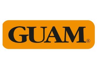 Guam panty ventre piatto snellente xs-s 38-40