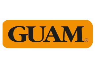 Guam panty ventre piatto snellente xs-s 38-40