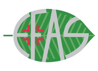 Ha100 acido ialuronico 100% 30 ml