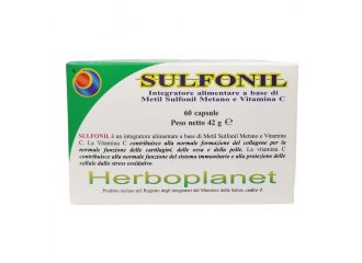 Sulfonil 60 capsule